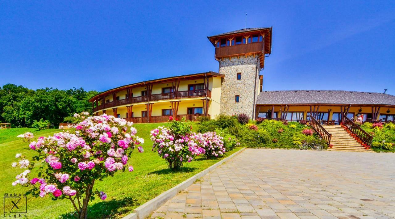 Pensiunea Casa Buna Girbova Luaran gambar